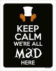 Placa Decorativa - Keep Calm We'Re All Mad Here 27X35