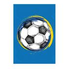 1 Placar De Pontos Para Jogo Bola Bocha Oficial Marcador Mdf - Tacolândia -  Produtos de Futebol - Magazine Luiza
