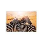 Placa Decorativa MDF Foto Safari Zebra 30x40cm