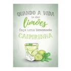 Placa Decorativa MDF Frase Caipirinha 30x40