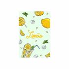 Placa Decorativa MDF Frutas Limões 30x40cm