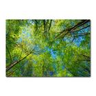 Placa Decorativa - Natureza - 1248plmk