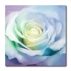 Placa Decorativa - Rosa - Pintura - 1057plmk