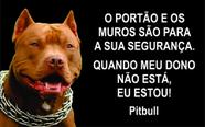 Placa Identificação Cão Bravo Cuidado Pitbull Fundo preto