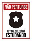 Placa Não Perturbe - Futura Delegada Estudando 27X35