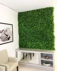 Placa Planta Jardim Vertical Decorativo Artificial Folhagem - Lujp Decorações