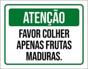 Placa Sinalização Atenção Favor Colhe Frutas Maduras 27X35