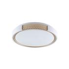 Plafon Led Blumenau Young Redondo de Sobrepor 24W Bivolt Branco / Dourado