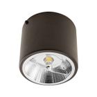 Plafon Sobrepor Redondo Marrom 1 Foco + LED AR111 Br. Quente Starlumen ST2947