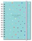 Planner Permanente M Coracoes Holograficos