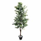 Planta Artificial Árvore FICUS VARIEGATA 1,60metros de altura - Flora GATAI