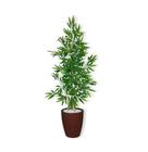 Planta Artificial Bambu 1,2 m Kit + Vaso E. Marrom 32cm