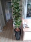 Planta artificial Bambu vertical 4 hastes 1mt o vaso não acompanha - Toke verde