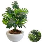 Planta Artificial Bananinha Com Vaso Bacia Liso Cores - PlantaImport