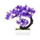 Planta Artificial Bonsai - Estilo Crescente em Mil Camadas - Decoração para Casa