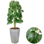 Planta Artificial Costela Com Vaso Cone Polietileno Polido - PlantaImport