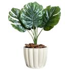 Planta Artificial Costela De Adão Com Vaso Cachepot Moranga - PlantaImport