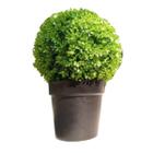 Planta Artificial Decoração Enfeite Buchinho 45 X 36 - Vacheron