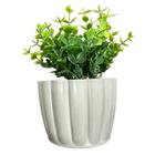 Planta Artificial Eucalipto Com Vaso Cachepot Moranga Cores