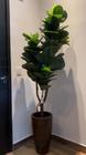 Planta artificial ficus lyrata 1.10mt o vaso não acompanha - Toke verde