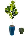 Planta Artificial Fícus Lyrata +Vaso Marmorizado Polietileno - FlorImp