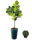 Planta Artificial Fícus Lyrata +Vaso Marmorizado Polietileno