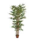 Planta Árvore Artificial Bambu Oriental Verde 1,8m