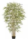 Planta Árvore Artificial Bambu Real Toque Verde 1,9m