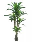 Planta Árvore Artificial Dracena Real Toque Verde 1,7m