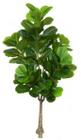 Planta Árvore Artificial Ficus Lyrata Real Toque X82 Verde 1,5m