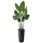 Planta Bananeira Artificial Grande Com Vaso Polietileno - FlorImp