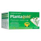 Planta gold plantago ovata psyllium em 30 sachês Arte Nativa