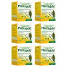 Planta Gold Psyllium Plantago Ovata rico em Fibras 60 sachês arte nativa