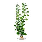 Planta Plástica Para Aquário 30Cm Cod 0880 - Chang