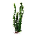 Planta Plástica Para Aquário 40Cm Cod 0980