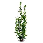 Planta Plástica Para Aquário 40Cm Cod 0990 - Chang