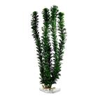 Planta Plástica Para Aquário 40Cm Cod 0993 - Chang