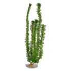 Planta Plástica Para Aquário 50Cm Cod 1081 - Chang