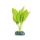 Planta silk soma echinodorus verde 20cm*oferta*