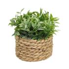 Plantas Artificiais de Eucalipto Verde - 11cm - Decoração para Casa