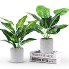 Plantas artificiais em vasos WUKOKU 2 peças para decoração de escritório