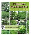 Plantas Medicinais do Plantio à Colheita Sortido