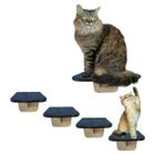 Playground para Gatos Kit Com 01 Prateleira e 04 Degraus Pet Escada