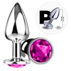 Plug Anal em Aço Inox Tamanho P com Joia Feminino Masculino Dilata Excita