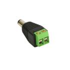 Plug p4 macho com borne (2170) - hcl