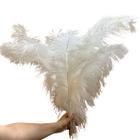 Plumas de Avestruz Extra Tipo Chorona Branca Carnaval 25g