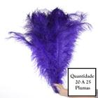 Plumas de Avestruz tipo Espigão p/ Decoração - CLIQUE PARA MAIS CORES