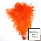 Plumas de Avestruz tipo Espigão p/ Decoração - CLIQUE PARA MAIS CORES