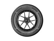 Pneu Goodyear Aro 16 Direction Sport 2 205/55R16 91V