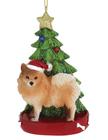 Pomerânia com enfeite da árvore de Natal para personalização